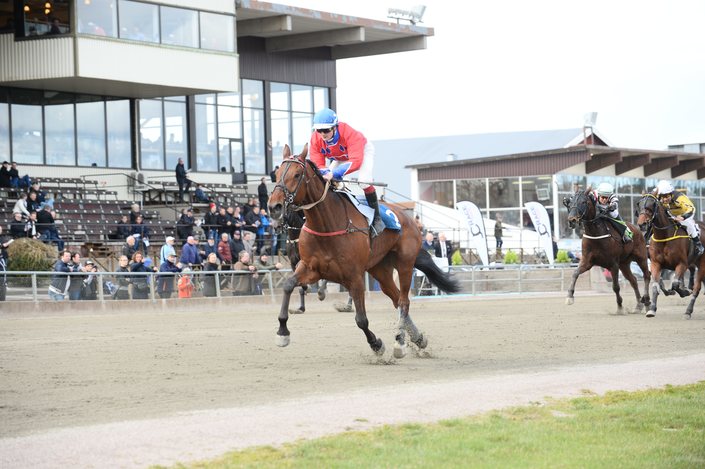 1.1_dancing_pride__ml_989