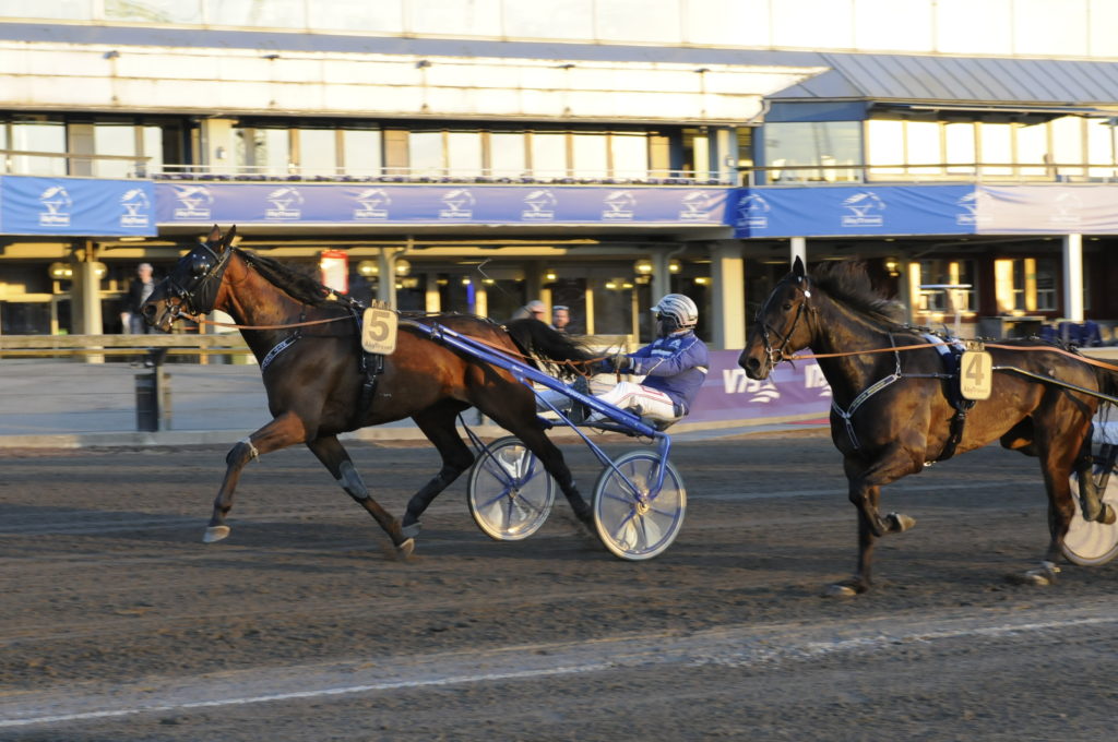 PATRIOT FACE - Stefan Sderkvist