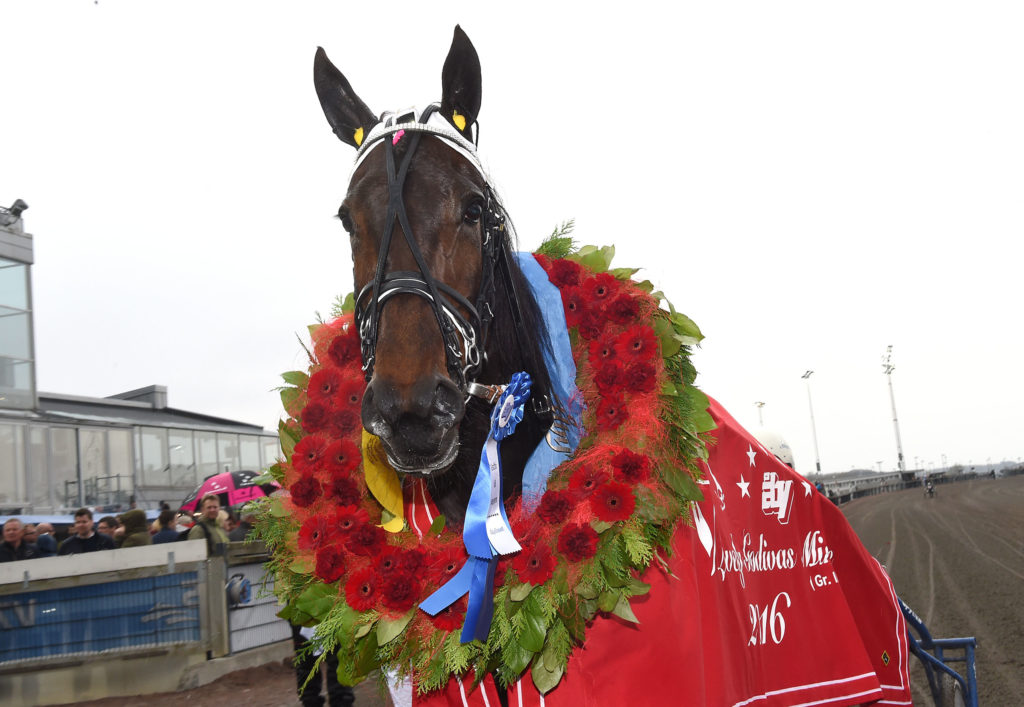 foto : lj : kanal 75 media. roses glory med lagerkrans. bild fr fri publicering t.o.m. 2016-05-06. foto: lars jakobsson