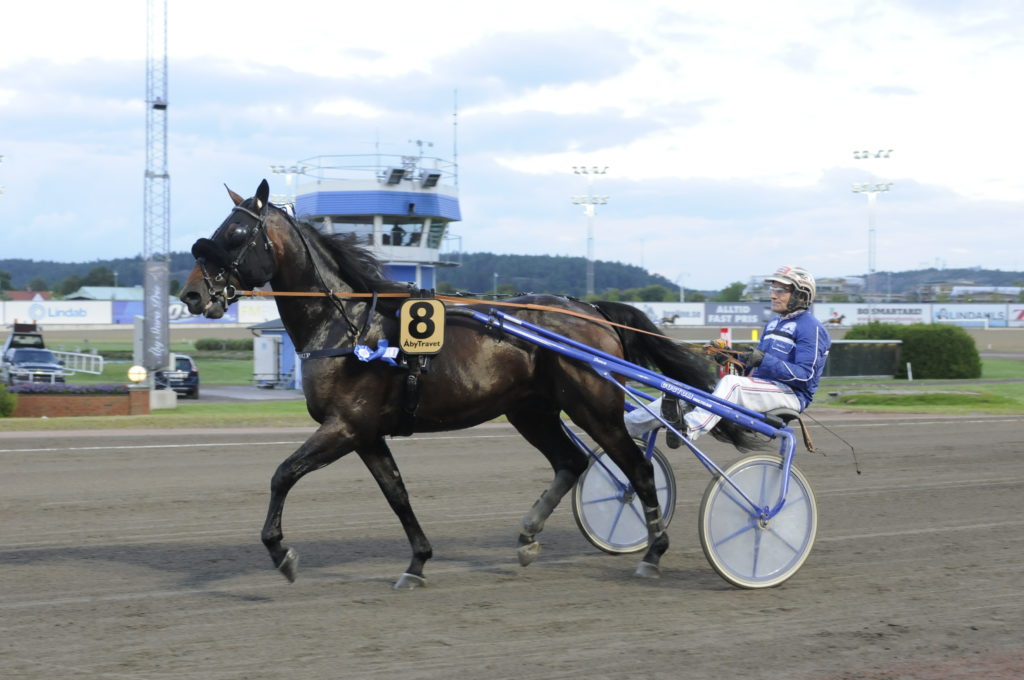 FLIRT FORTUNA - Sderkvist Stefan