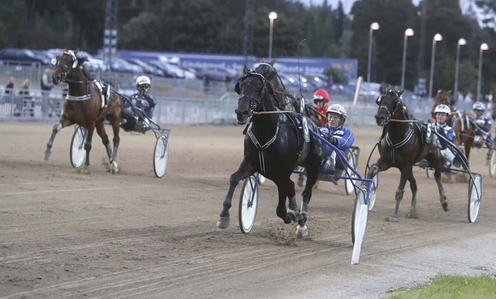 kanal 75 media. donatello sisu med stefan sderkvist. fr fri publicering tom 2016-08-17. foto: micke gustafsson/foto-mike
