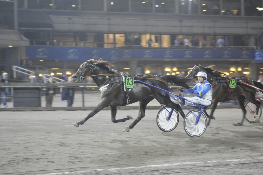 RASPBERYSKY - Veijo Heiskanen