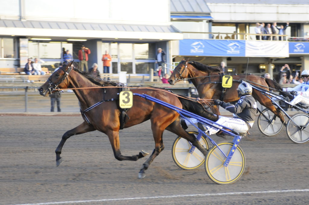 MILL ZO - Carlos Sderstrm