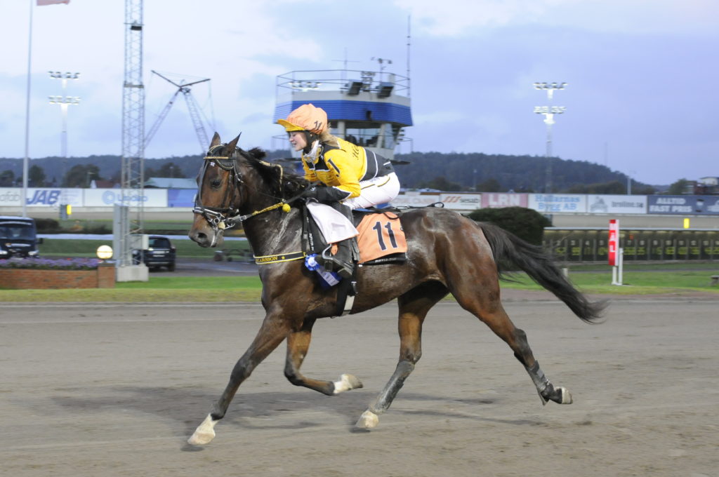 GREVE MONTECHRISTO - Oscarsson Jennifer L