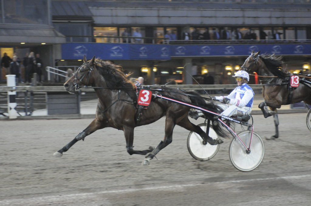 PINEY TROTTER - Ingves Peter