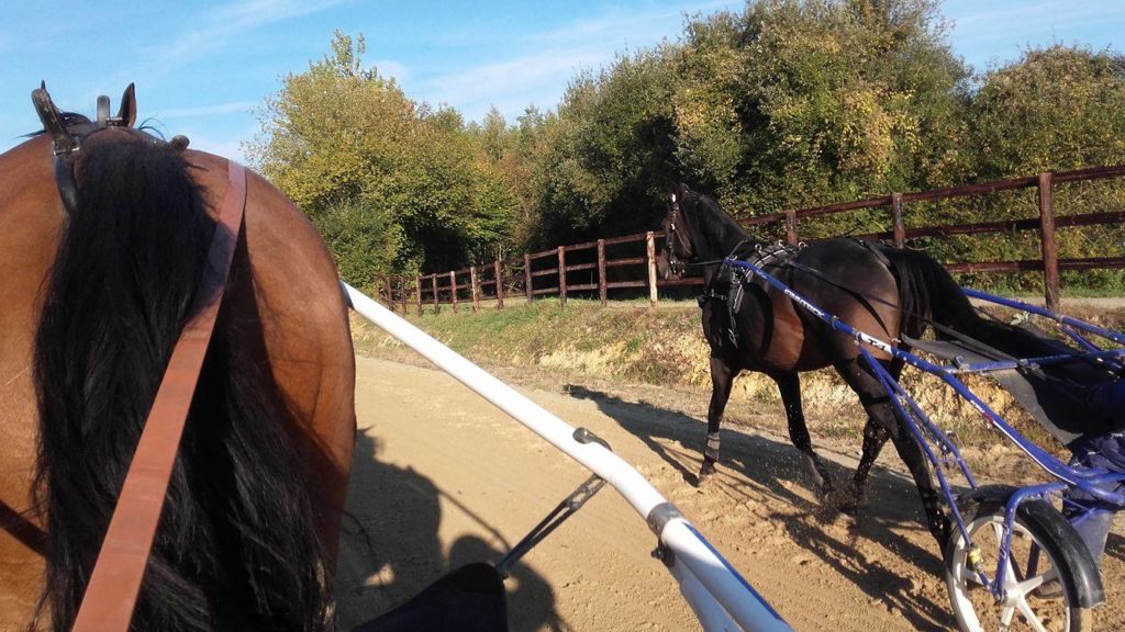 14795679_10209995233452602_471781070_o