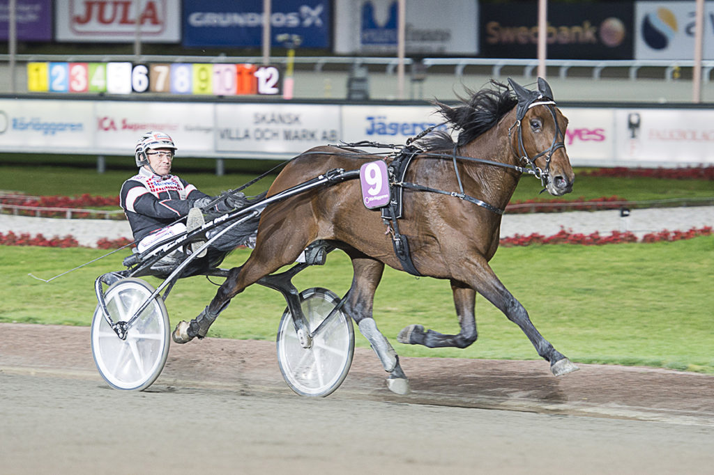 Rafolo / Stefan Söderkvist Tränare: Robert Bergh