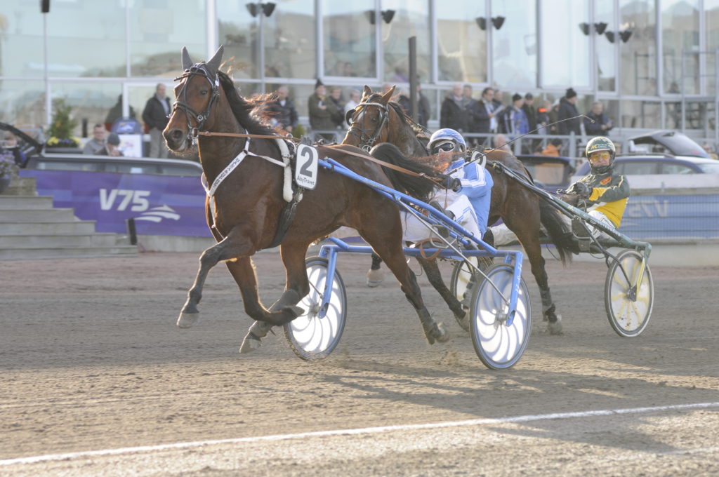 JUMBLES - Giuseppe Lubrano