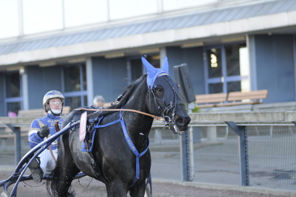 FLASHING VICTORY - Maxime Marais