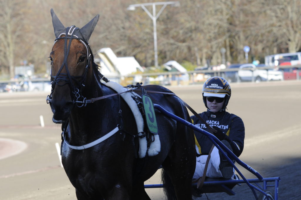 KEBELL SNNA - William Ekberg