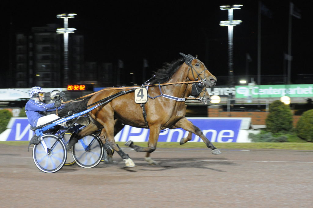 CADDIE JO - Sderkvist Stefan