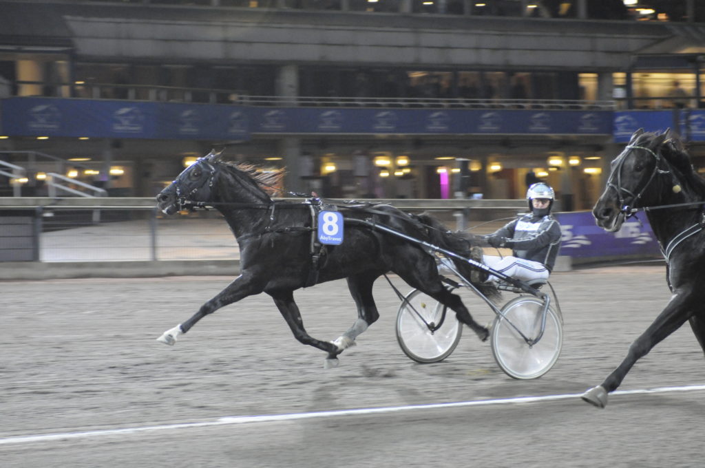 TURBOY - Bergh Robert