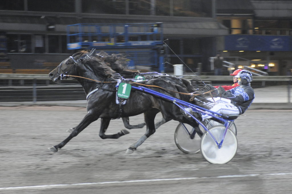 REKORD RUNE - Cracchiolo Christian