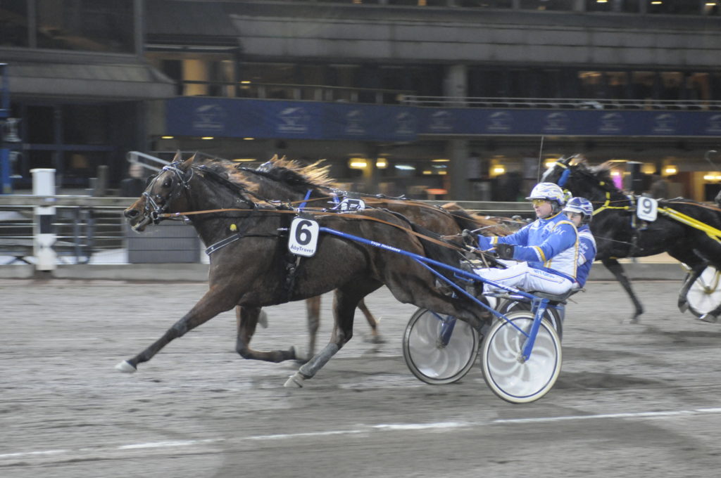 HOPE BO - Heiskanen Veijo