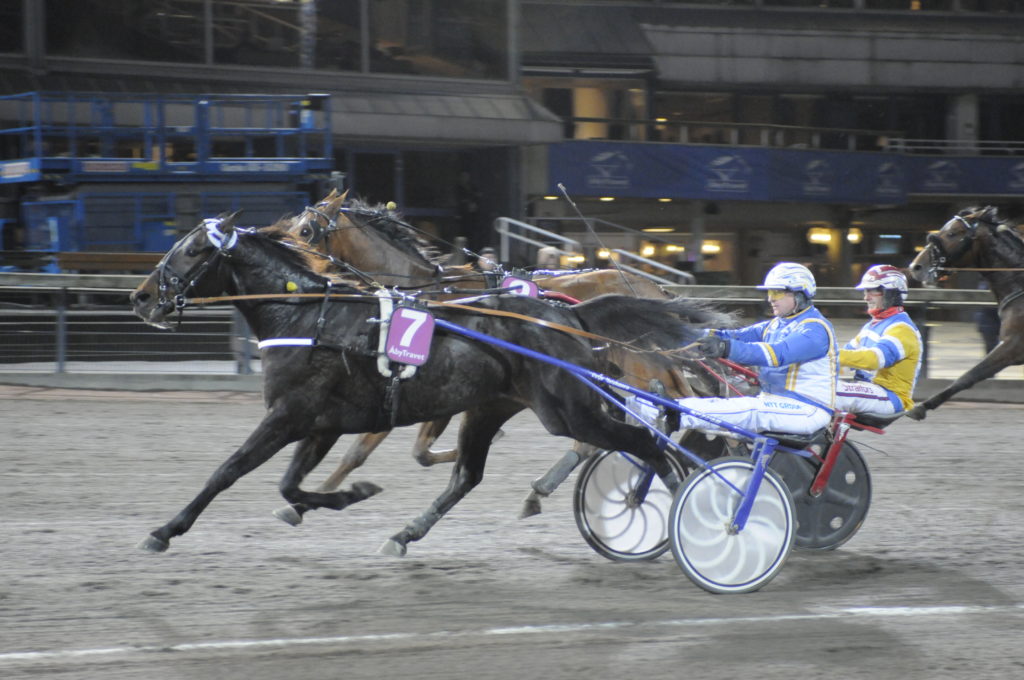 R.K.KING - Heiskanen Veijo