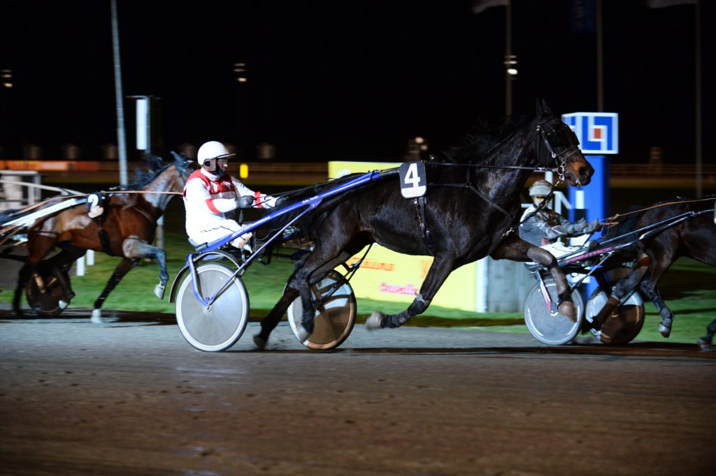 Caddie Icon mål 101