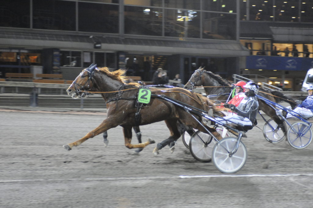 BALFOUR - Bergh Robert