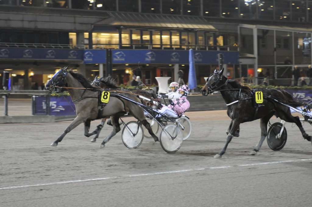 DARWIN STAR - Kim Eriksson