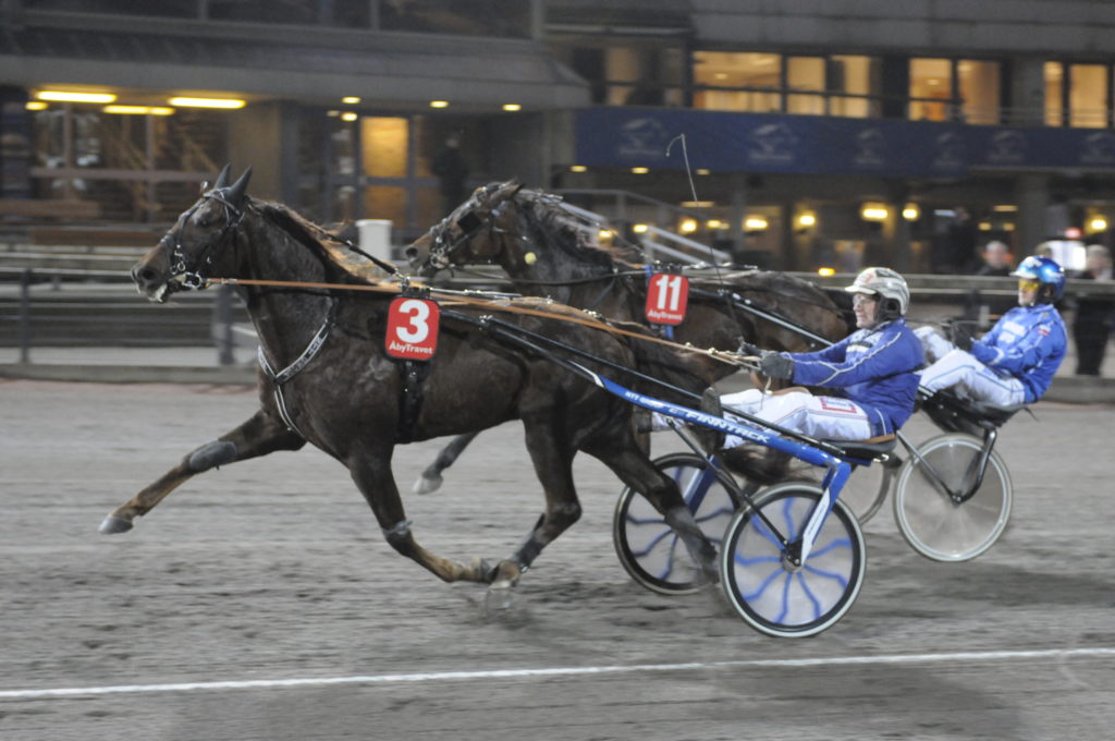 PERSIMMON FACE - Stefan Sderkvist