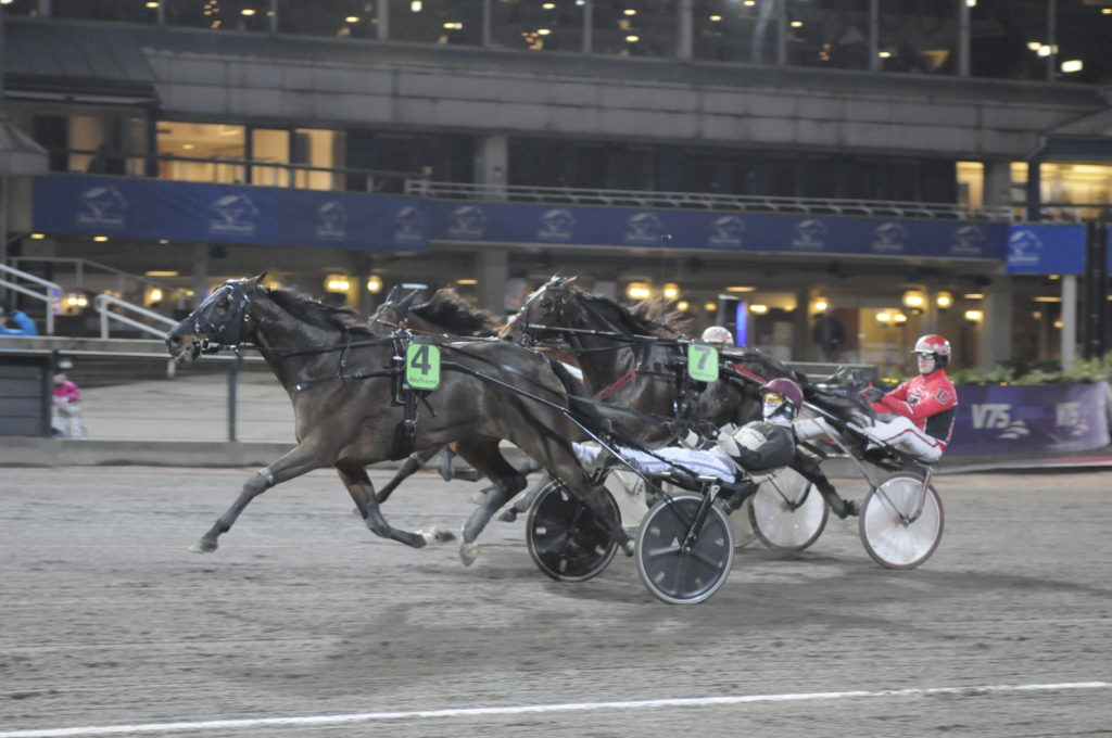 DIGITAL ARCHIVE - Kim Eriksson