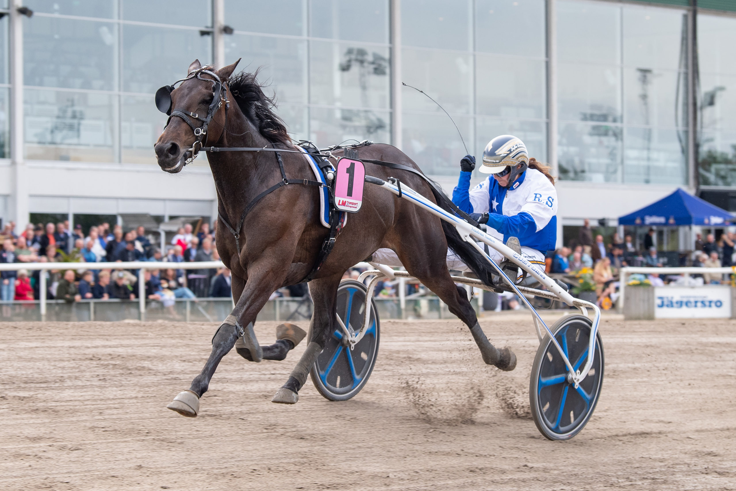 V86: Bergh vinnare på två V86-banor när två vann sex miljoner - Solvalla